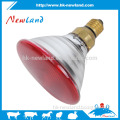 infrared heating lamp with hard glass backscattered radiation